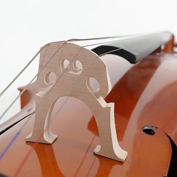 PHOENIX 1/2 Full Size Cello, Beginner Cello, Acoustic Cello Kit with Bow