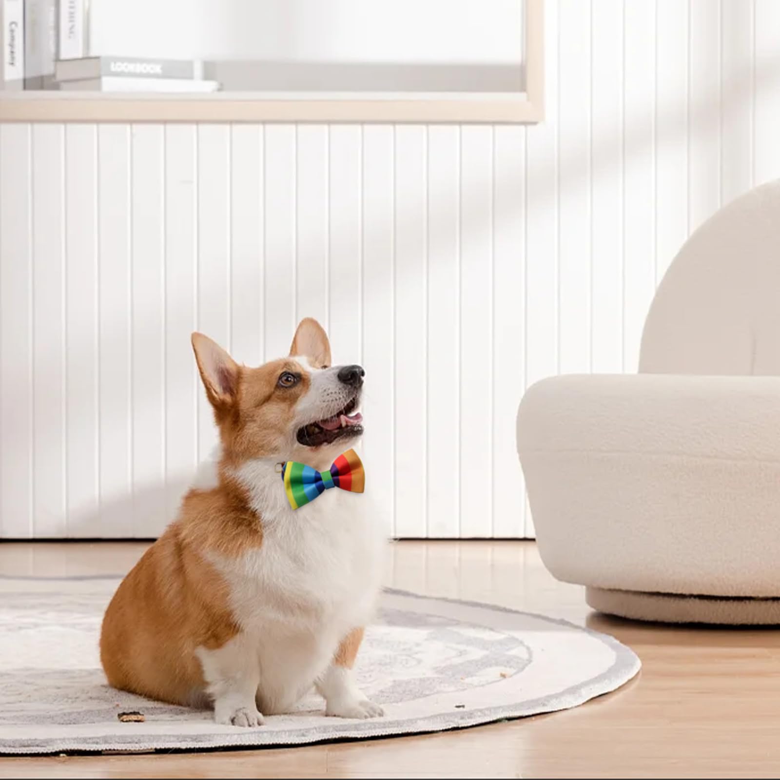 Costume per cani Pride Day, collare a bandana con fiocco e cravatta, confezione da 2 pezzi, accessori regolabili per cani LGBT per cuccioli, gatti, feste, travestimenti cosplay