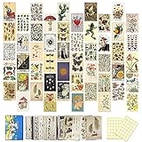 Cadelon 50PCS Vintage Botanical Illustration, Tarot Aesthetic Photo Wall Collage Kit, Ephemera Wall Collage Cards for Bedroom Decor, 4*6 in Small Poster with 70pcs Round Stickers for Teens Boys Girls