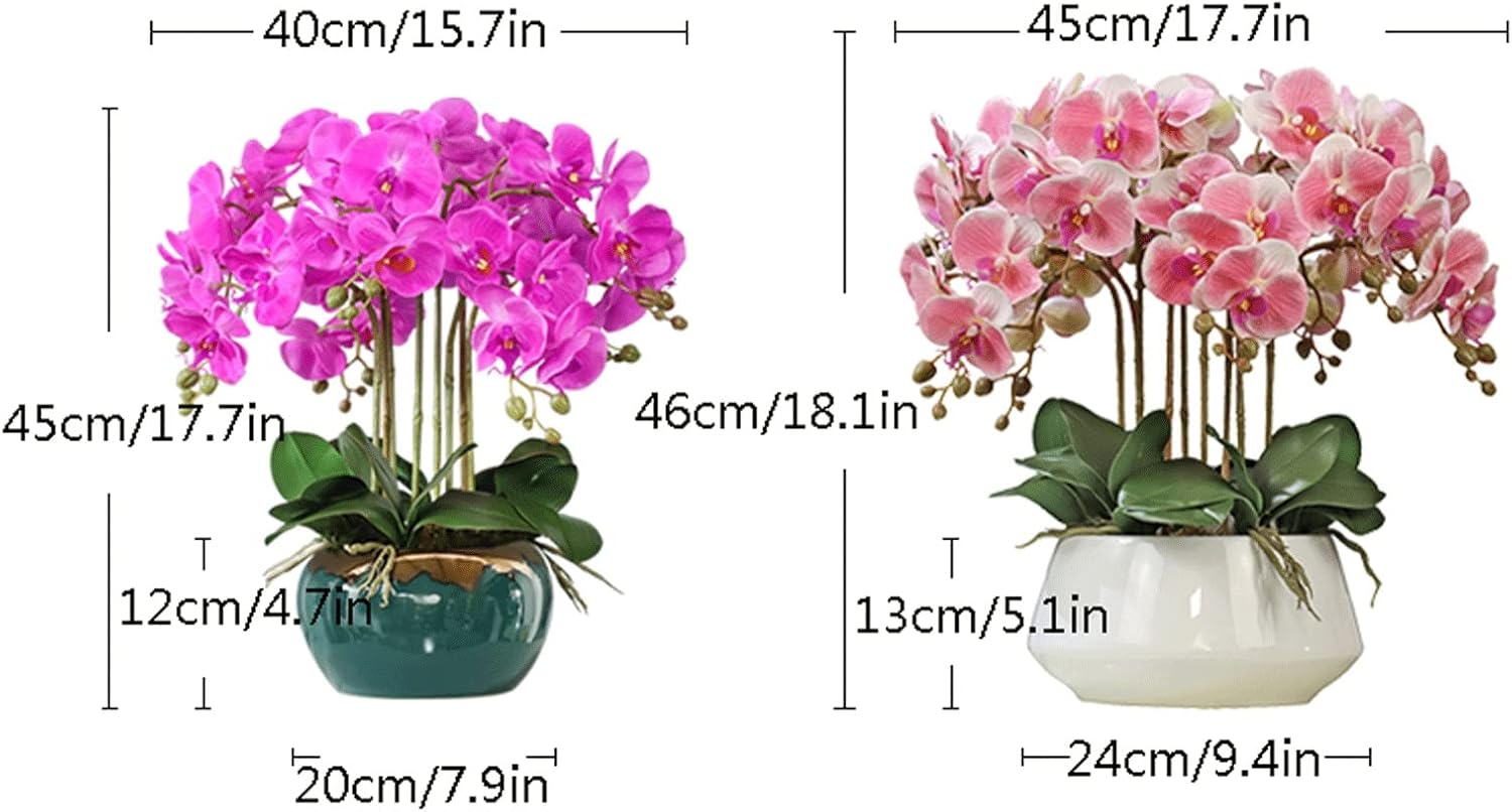 Ziwon 人工蘭の花と植物 セラミックポットに鉢植え 白い胡蝶蘭 テーブルセンターピース用 リアルなフェイクフラワーアレンジメント ホームオフィス装 Ziwon 人工蘭の花と植物 セラミックポットに鉢植え 白い胡蝶蘭