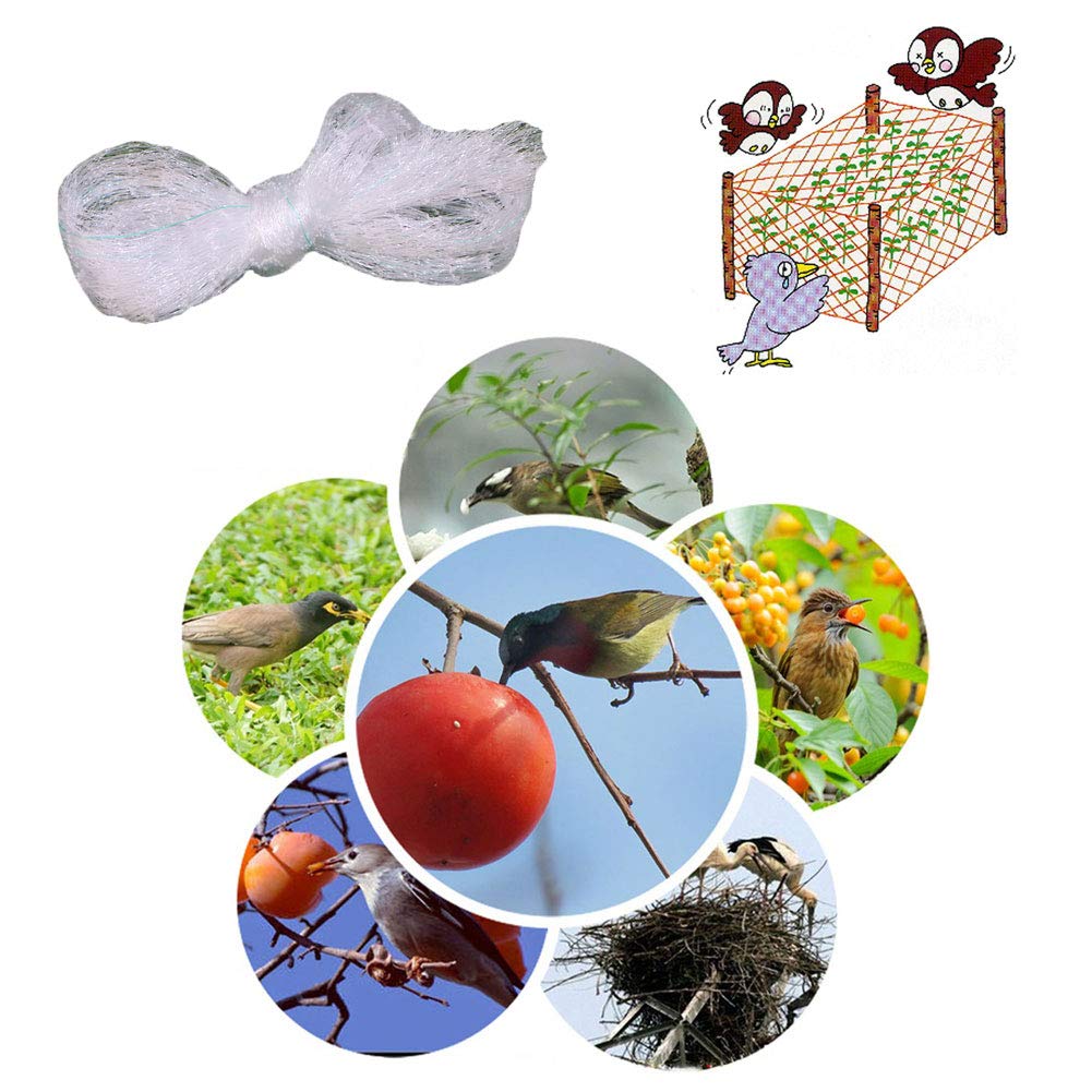 APOE Rete Protezione Uccelli, Rete Anti-Uccelli Protezione per Piante Stagni Frutti, Fori 2 × 2cm