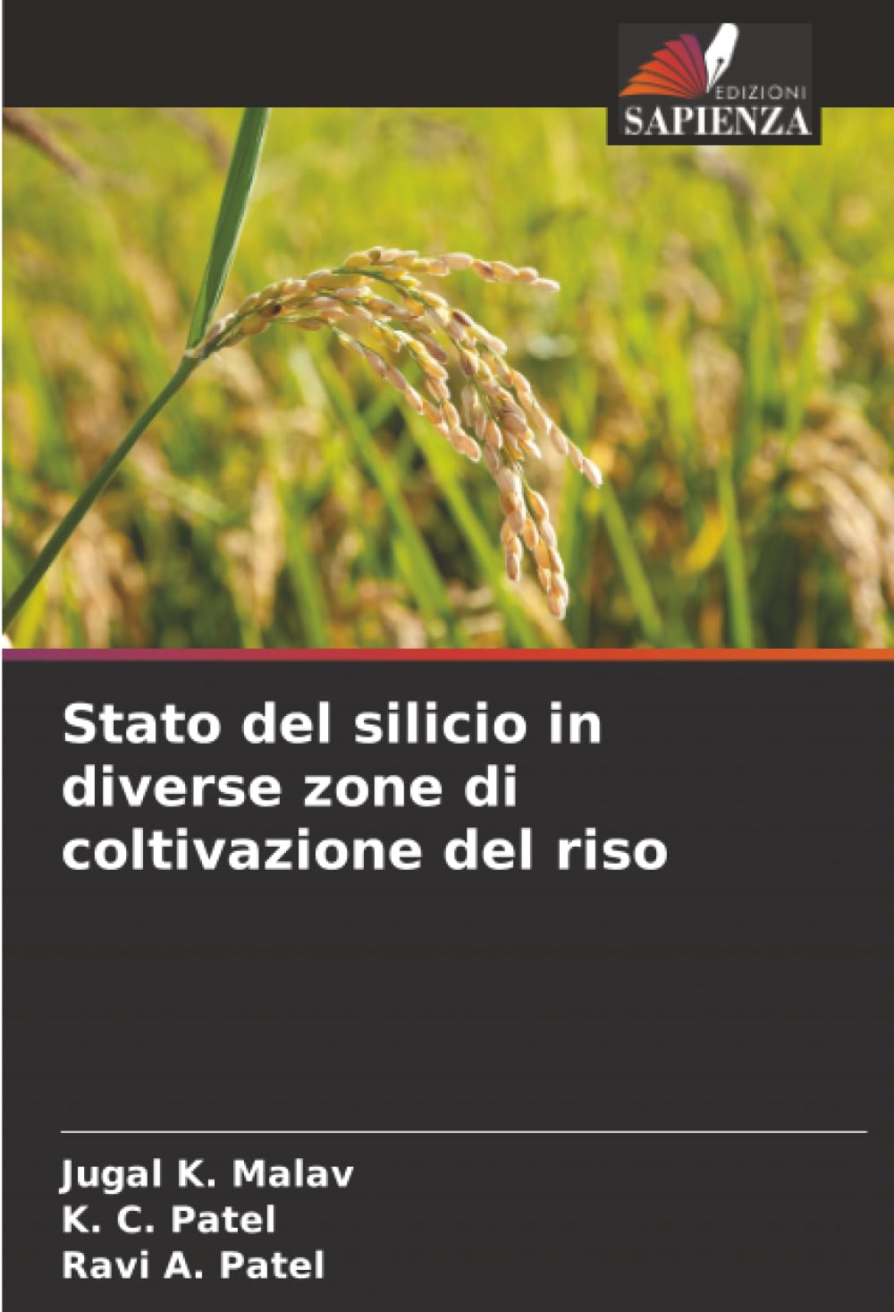 Stato del silicio in diverse zone di coltivazione del riso