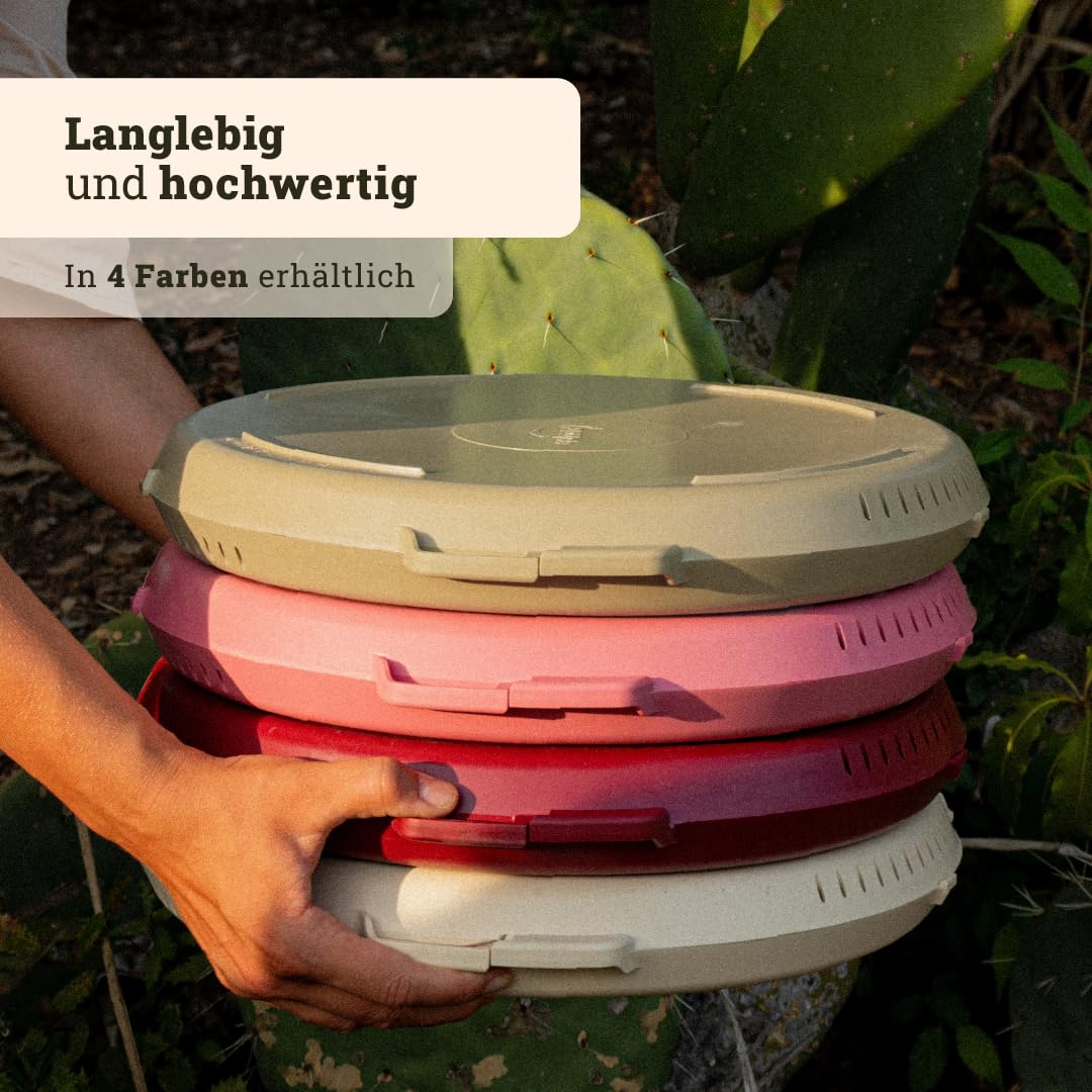 Mehrweg Pizzabox Original | Wiederverwendbare Pizza-Aufbewahrungsbox mit Deckel, stapelbar & nachhaltig - für Pizza bis 33 cm (Dough)