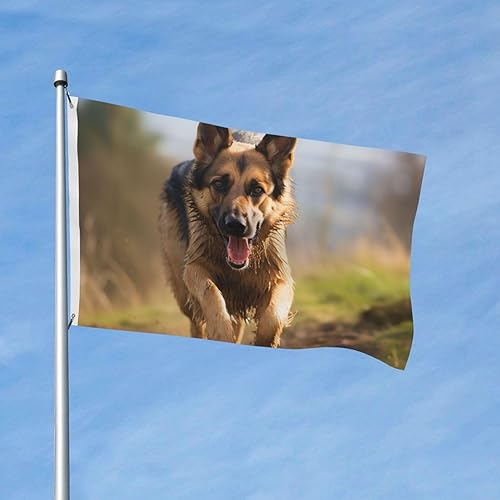 Miniatura 9 de Bandera de perro pastor alemán corriendo de 3 x 5 pies para exteriores, divertida bandera de jardín, bandera de doble cara, pancarta de bienvenida