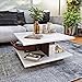 Wakefit Coffee Table | 1 Year Warranty | Center Table