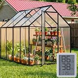 Ruelyn 6x8 FT Polycarbonate Greenhouse