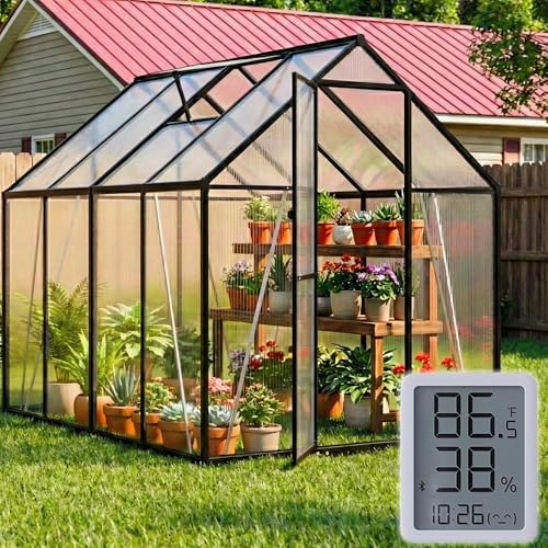 Ruelyn 6x8 FT Polycarbonate