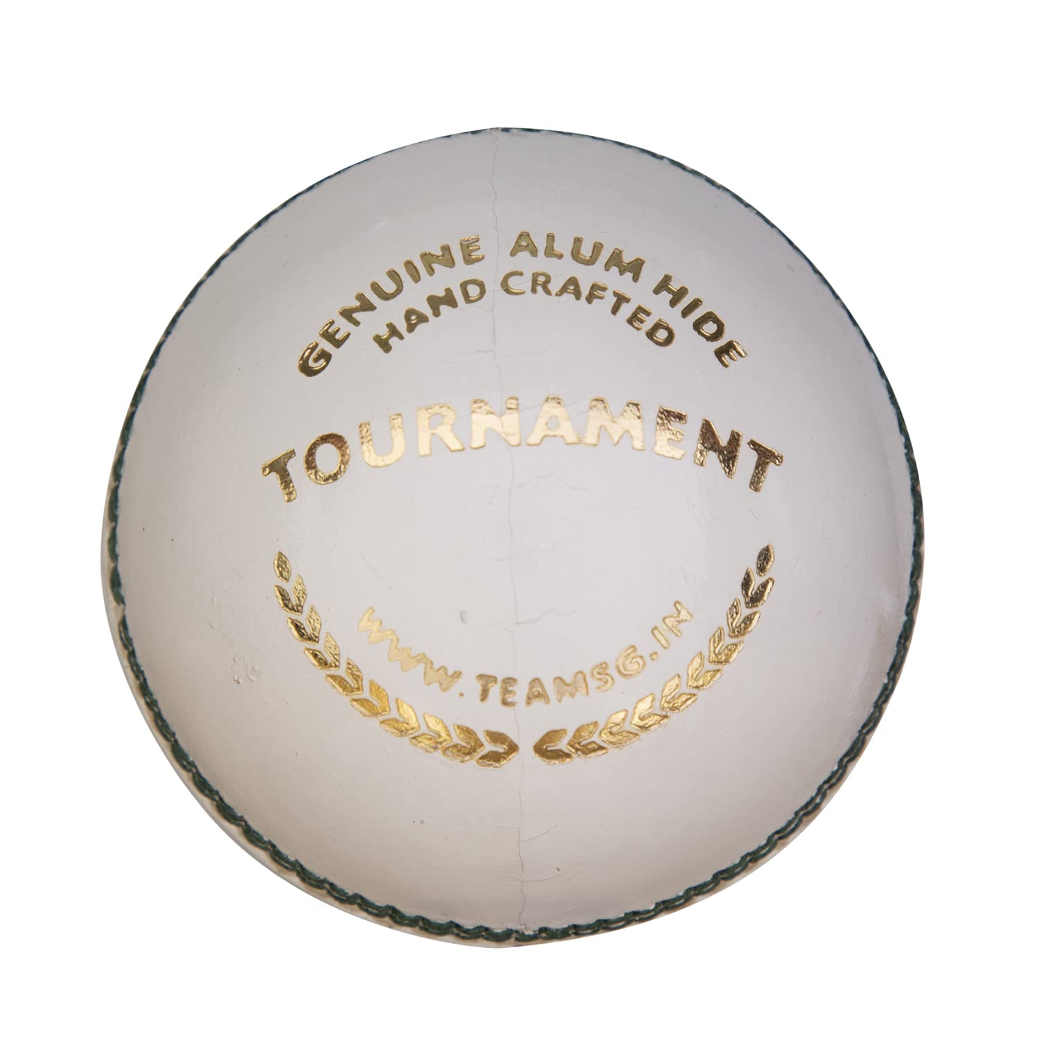 SG Tournament (White) Water Proof Cricket Leather Ball (B0BNBHQXHX) Amazon Price History, Amazon Price Tracker
