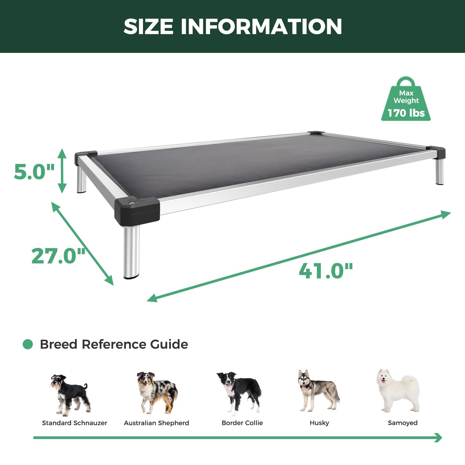 View 6