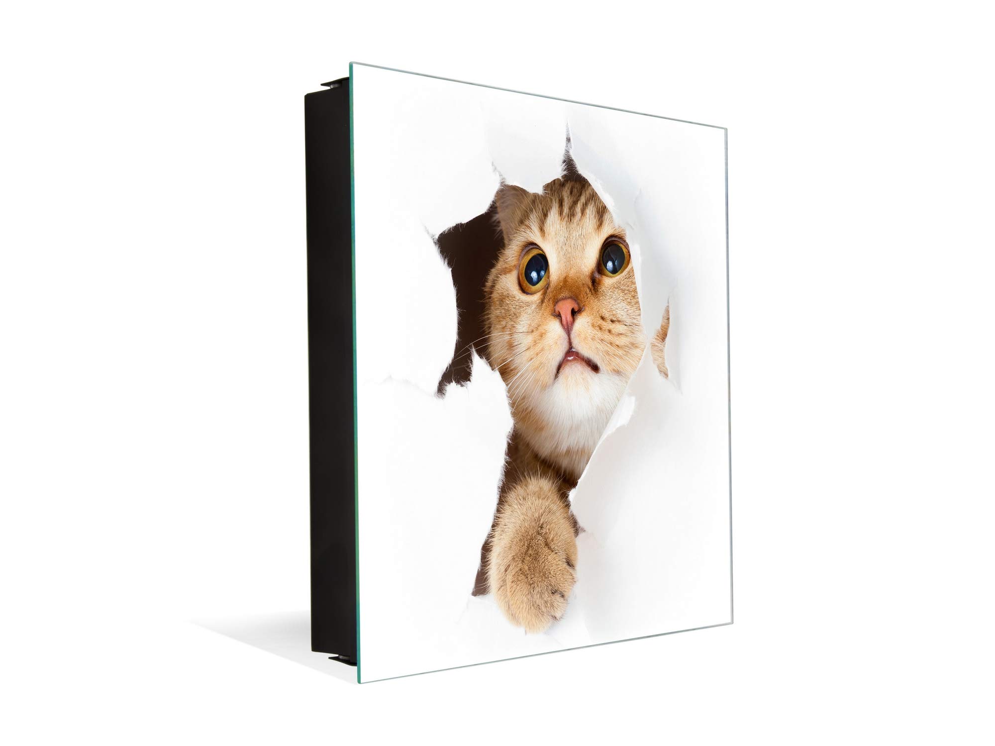 Concept Crystal 50 Keys Cabinet with Decorative Front Panel and Glass White Board K02 Cat in Paper