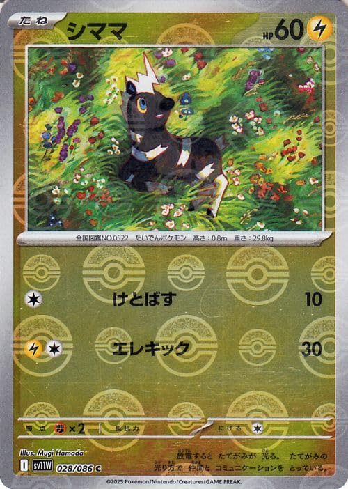 Amazon.co.jp: ポケモンカードゲームSV sv11W 拡張パック ホワイト