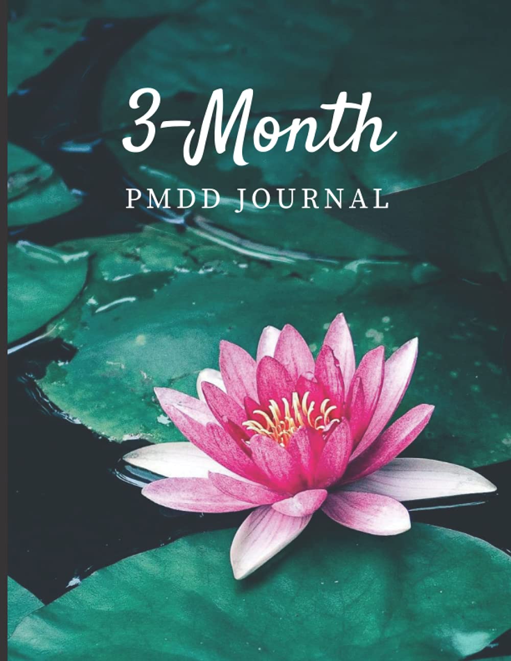 3-Month PMDD Journal: For Those With Premenstrual Dysphoric Disorder