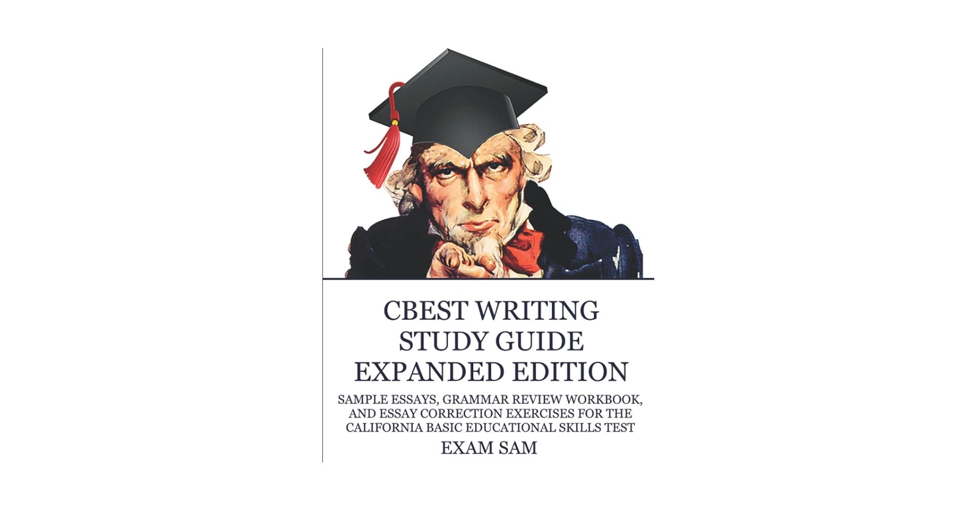 語学・辞書・学習参考書 The Big Book of CABar Exam Essay Writing The Big Book of California Bar Exam Essay Writing: Aruffo