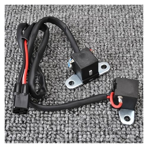 Bobina de activación de estator magneto para Suzuki DF25 DF30 2000 5