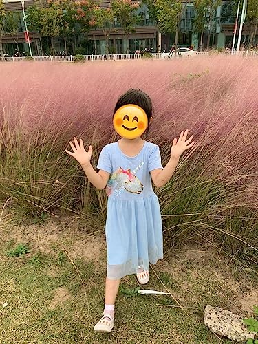 Image of Hongshilian Little Girls Cotton Casual Dress Cartoon Print T-Shirt Short Sleeve Skirt Dresses