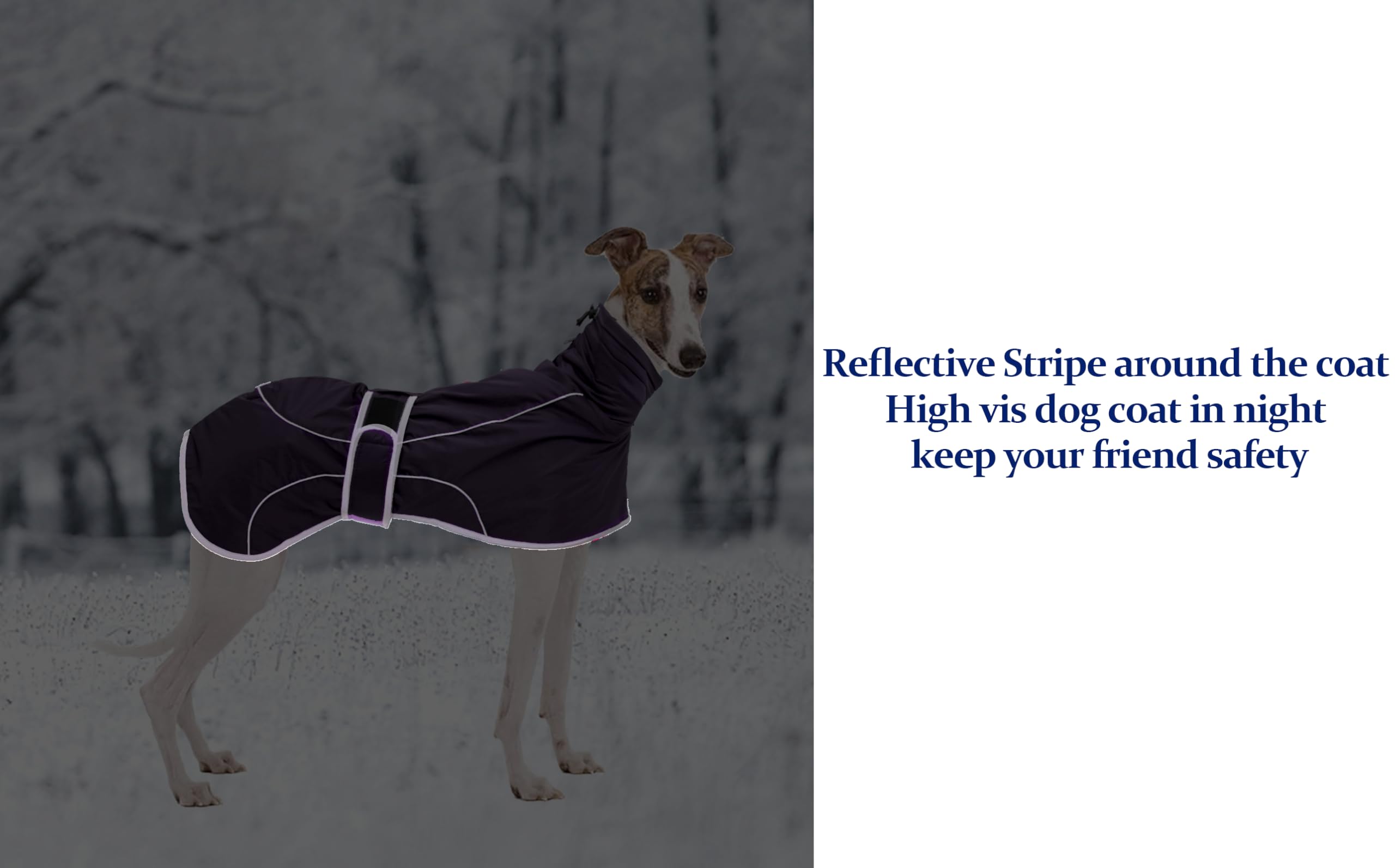 Morezi Greyhound Winter Coat, Whippet Coat with Padded Fleece Lining - Image 4