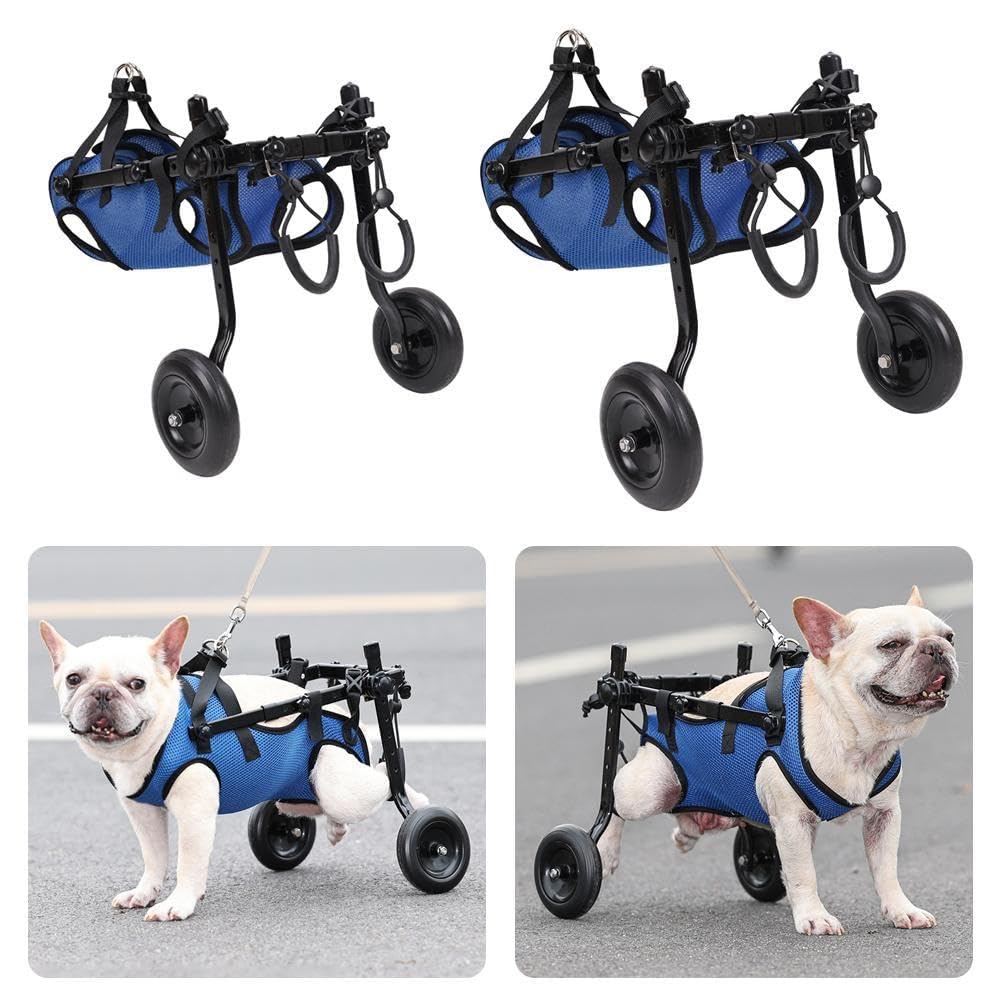 Wmool - Silla de ruedas ajustable para perros con discapacidad en las patas traseras, ligera, herramienta de movilidad para perros pequeños, S2G8, ayuda para rehabilitación de las patas traseras
