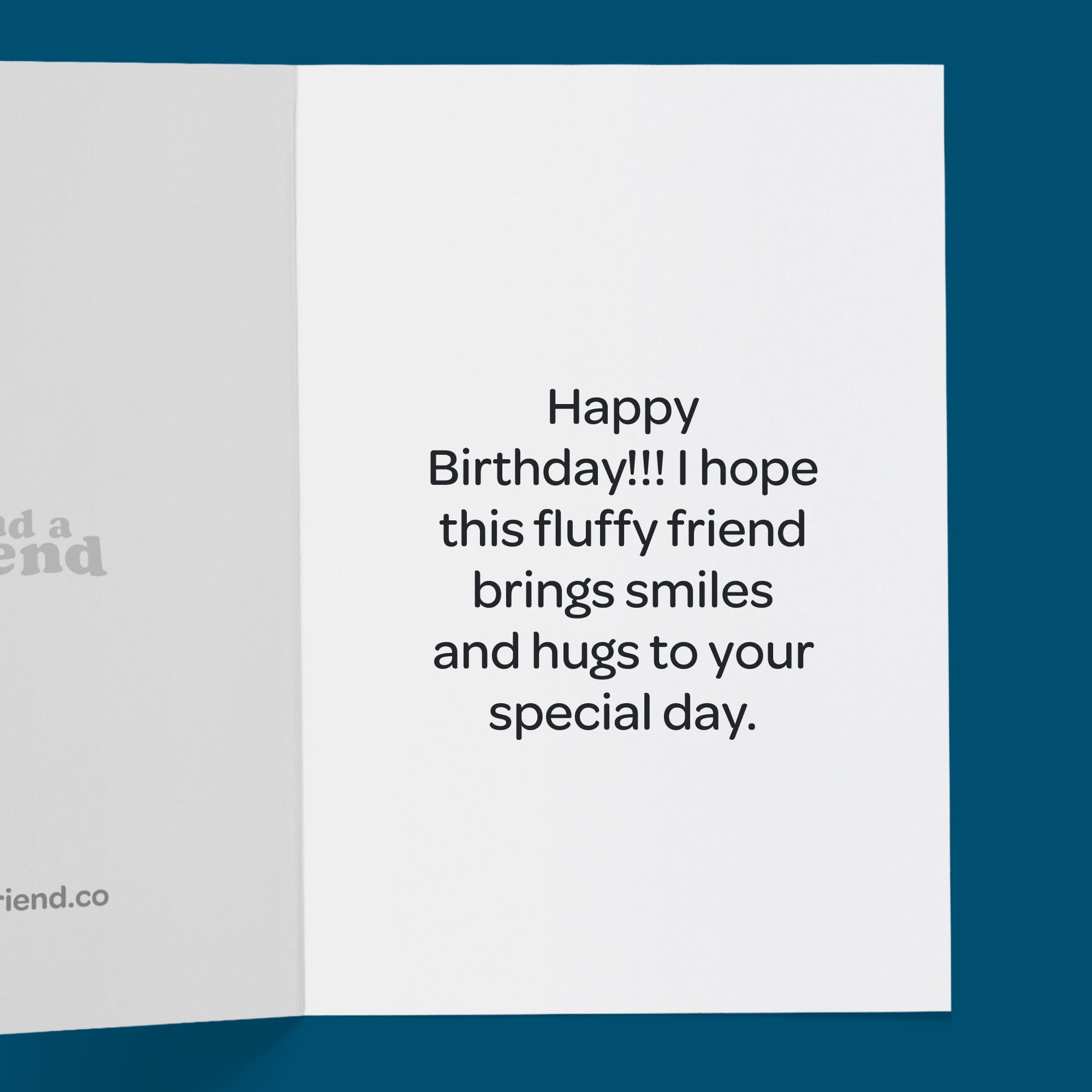 SendAFriend Crouton the Capybara Pflegepaket | Geburtstags-Notizkarte, Plüschtier, 25,4 cm, Unterschrift "Someone Loves You", blaue Box, fertig zum Verschenken