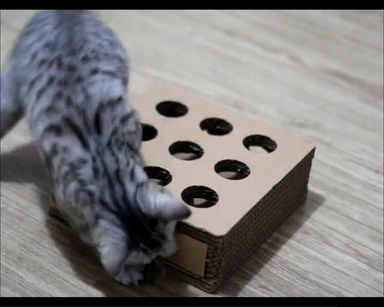 Cat Cardboard Scratcher Cat Corner Scratcher Cat Wall Scratcher