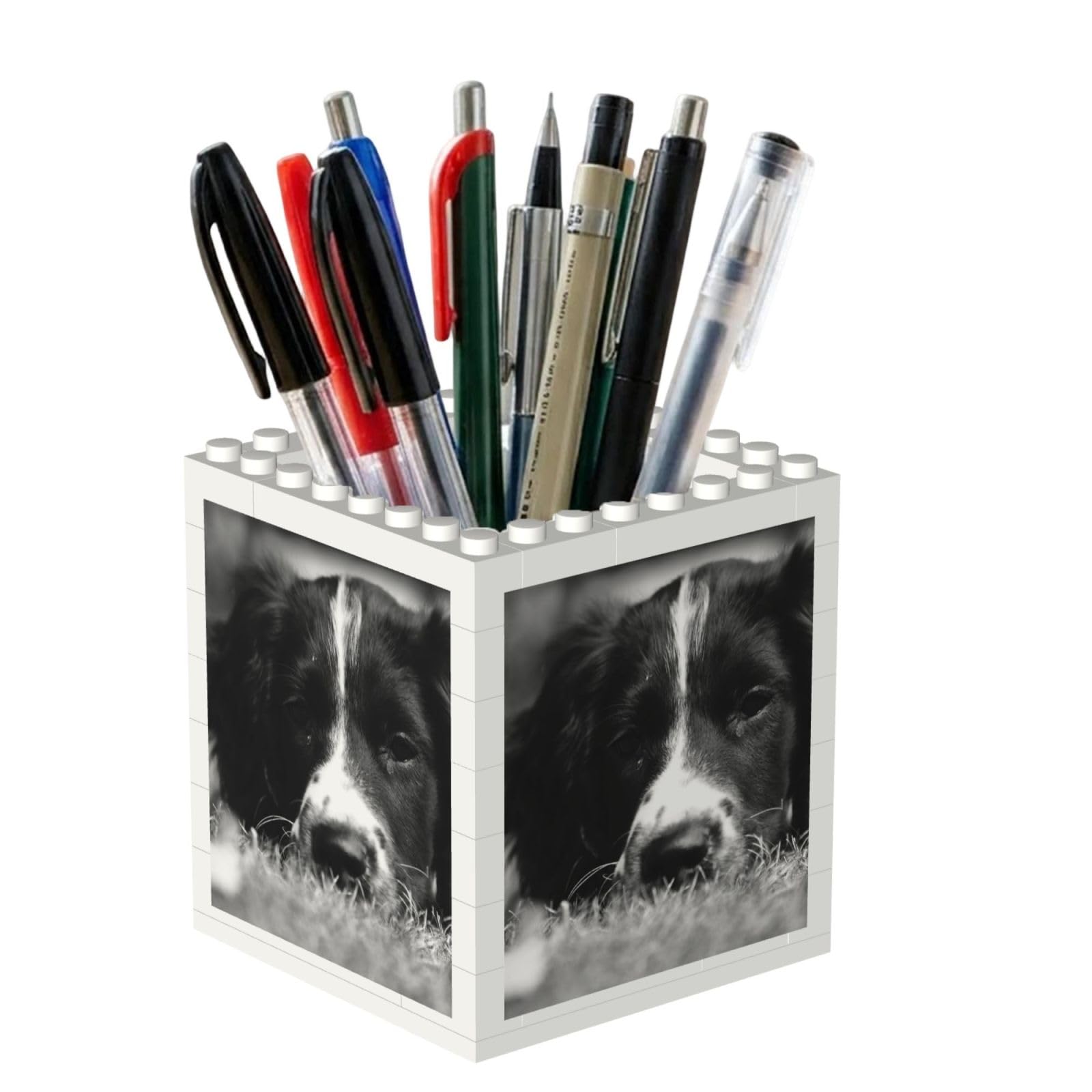 Poadnly English Springer Spaniel, Pen Pot Pencil Holder for Office Home School, Compact Desk Organiser for Office Stationery