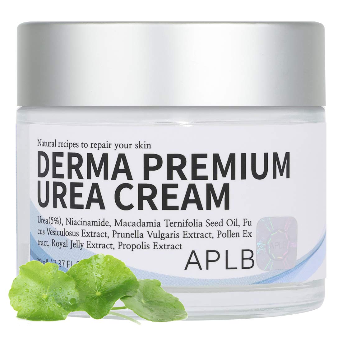 APLBDerma Premium Urea Moisture Cream, 70ml / Korean Skin Care, Intensively Hydrating, Soothing, Provide elastic and youthful skin