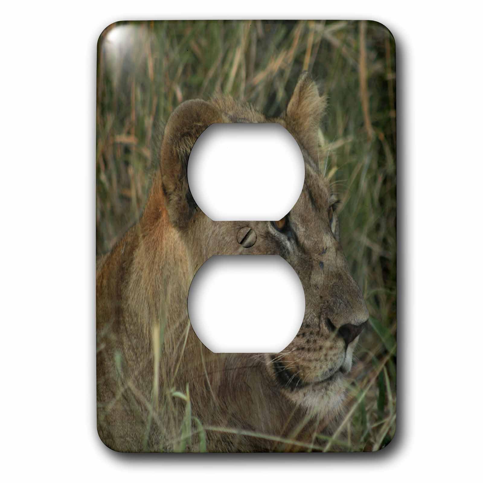 Lion femelle dans l'herbe plaque double prise anti-rayures au design animalier