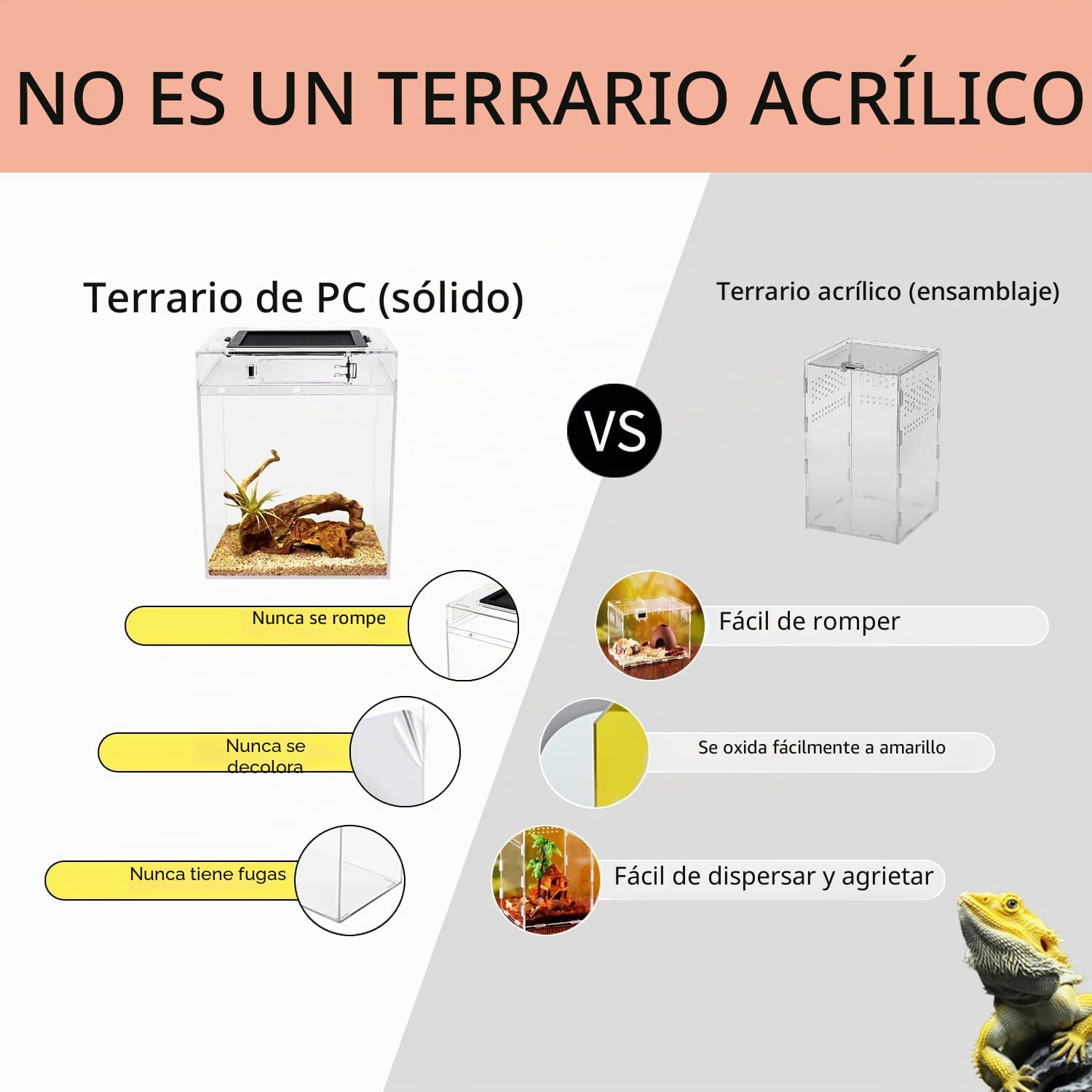 Reptile Growth Juego de terrarios altos (PC), 20 x 20 x 28 cm, para reptiles con rejilla superior de puerta corredera, ventilación para reptiles para serpientes, ranas, insectos, tarántulas, cangrejos
