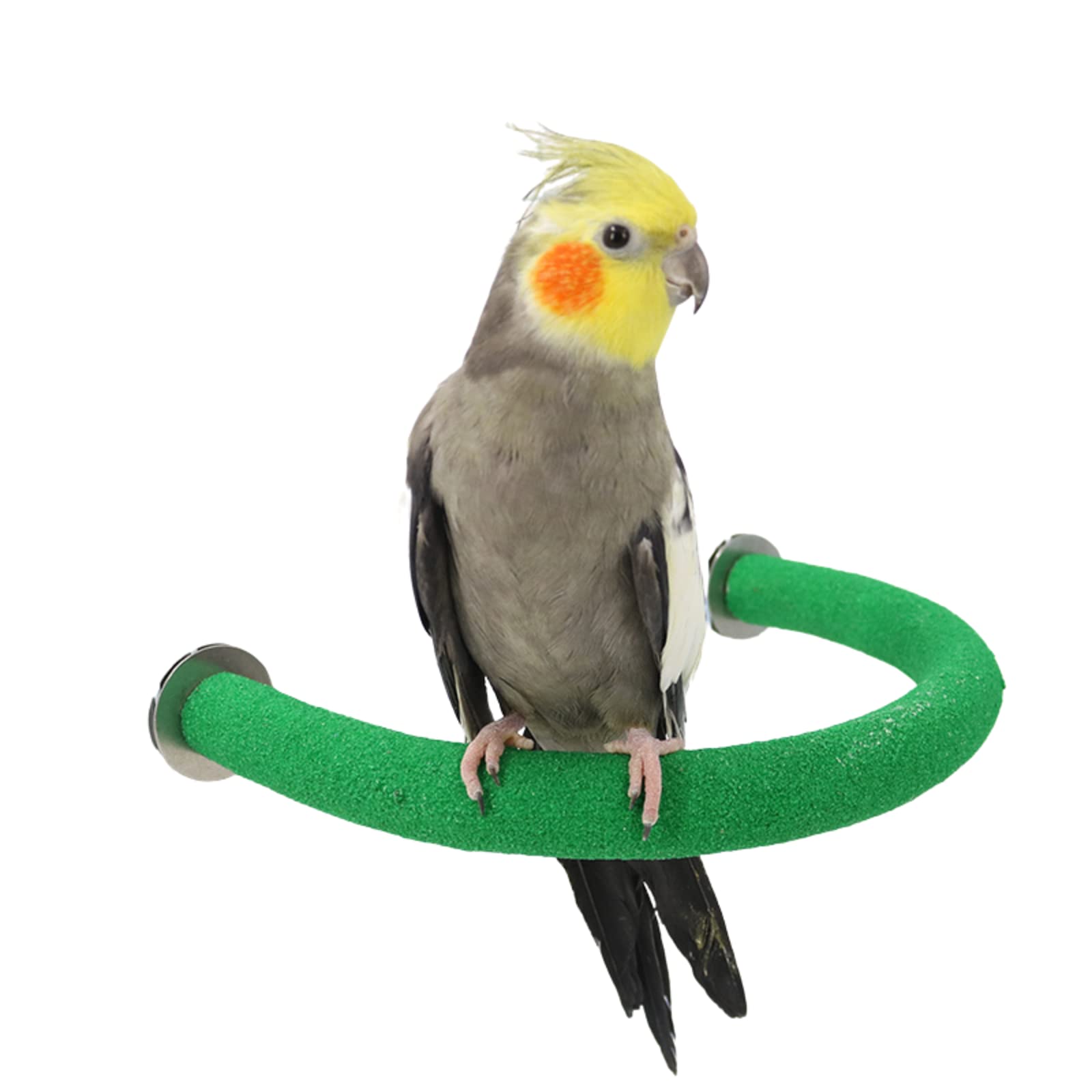 U Shape Parrot Perch Stand Pet Toy Bird Platform Sand Paw Grinding Clean Stick Cage Exercise Conure Budgie Cockatiel Accessories (Large,Green)