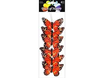 【美品】mowl Triarch 715AeahWaBL._UF1000,1000_QL80_.jpg