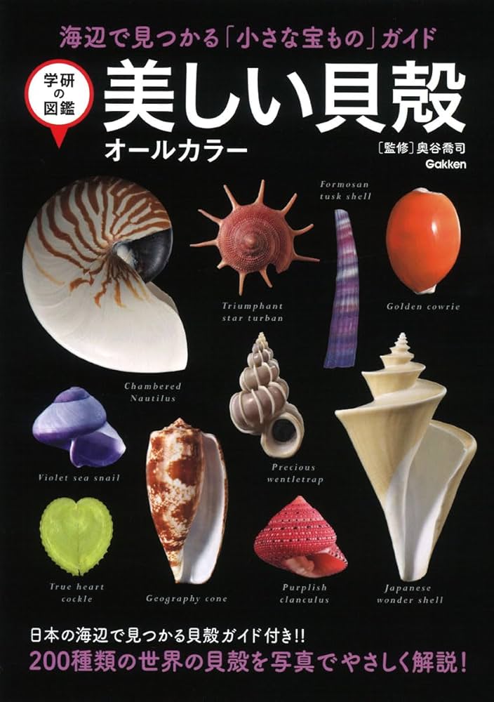 美しい貝殻 オールカラー | 奥谷喬司 |本 | 通販 | Amazon