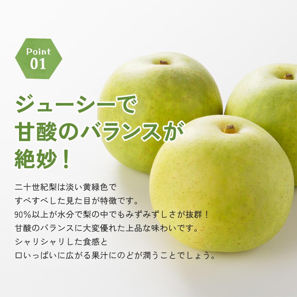 Amazon.co.jp: 【鳥取県産】 東光園 二十世紀梨 サイズ1L (14-15個入