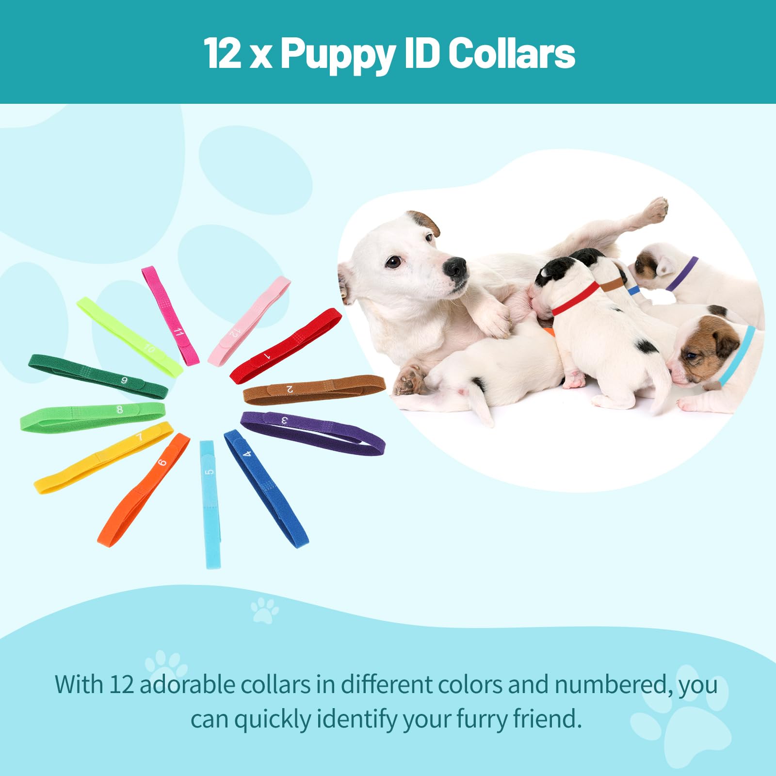 El kit de 48 piezas para cachorros incluye 4 tubos de alimentación para cachorros, 6 tablas de registro de registros, 12 collares de parto para cachorros, 12 abrazaderas de cable, 2