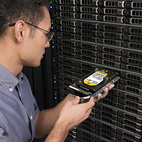 Image of WD 6TB 3.5 inch Re+ SATA III 128 MB Cache Bulk /OEM Enterprise Hard Drive (WD6005FRPZ)