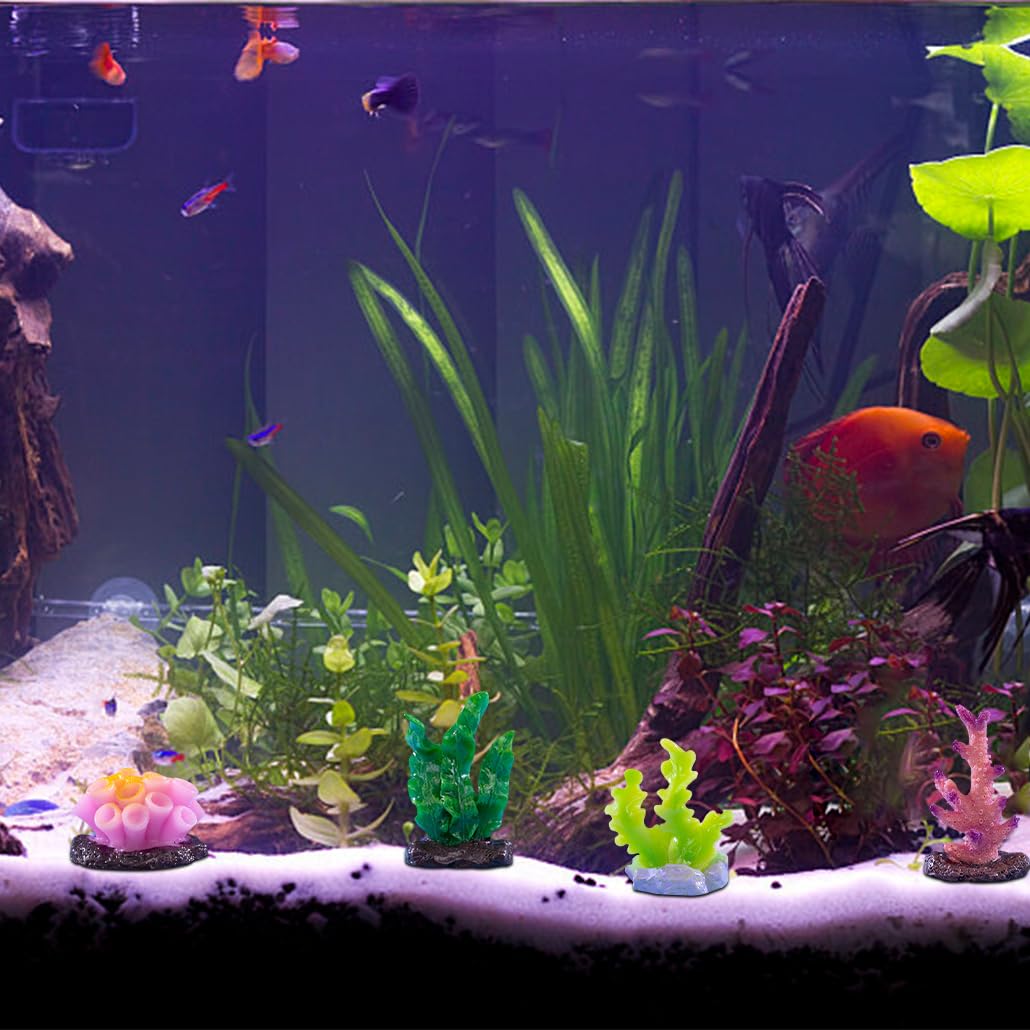 珊瑚のインテリア Amazon.co.jp: DeryArcle 珊瑚 ミニチュア 置き物 6個セット