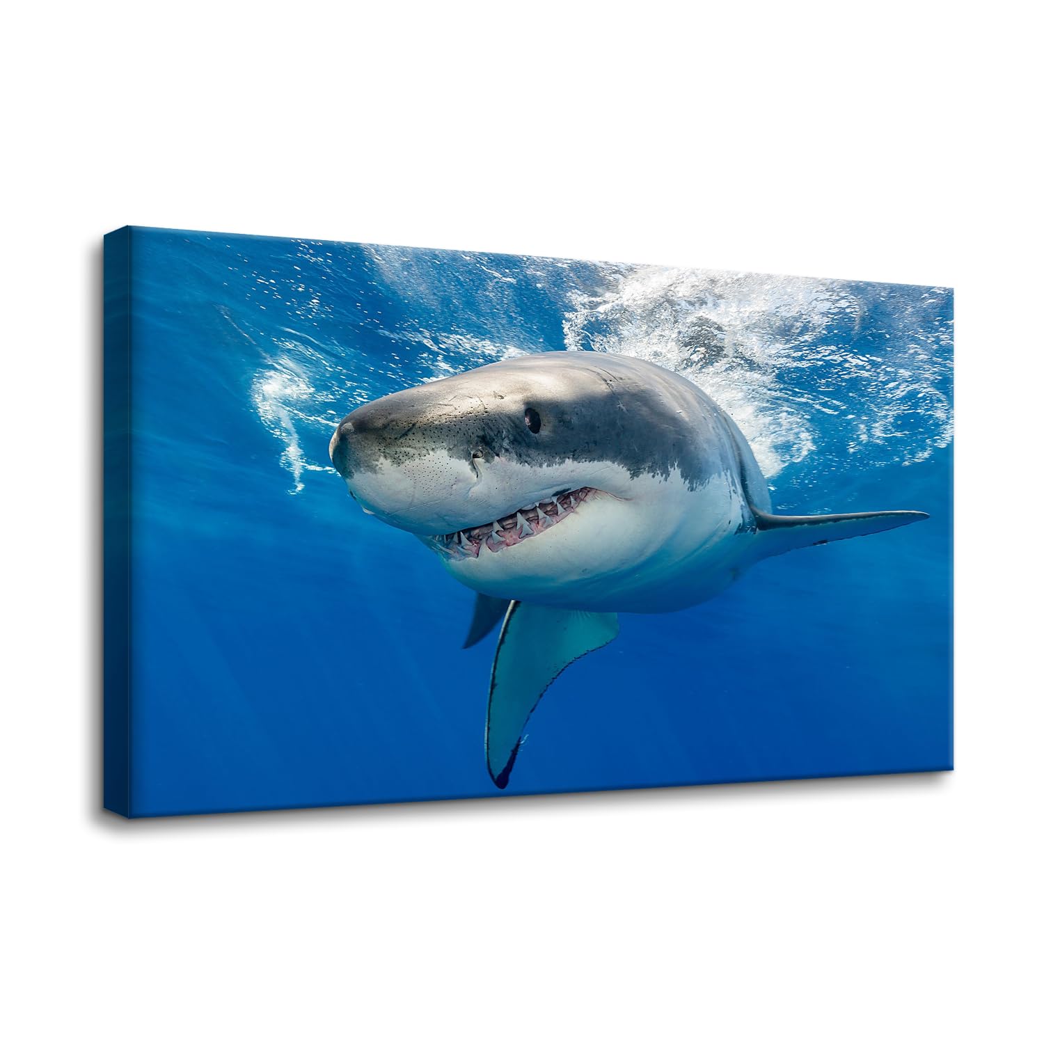 Pacimo Framed Wall Art for Living Room, Great White Shark Art Canvas Prints, Blue Ocean Home Decor, Animals Prints Painting Picture, Bedroom Wall Decor Gifts for Friends or Family 12"x18"