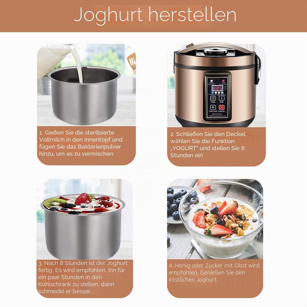 6L Joghurt Maschine, Schwarzer Knoblauch Fermenter, Kimchi Maschine, Süßreis Wein Maschine Vollautomatisch, Natto Maschine