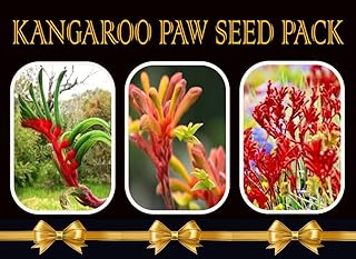 Native Kangaroo Paw Seed Pack, 3 Varieties