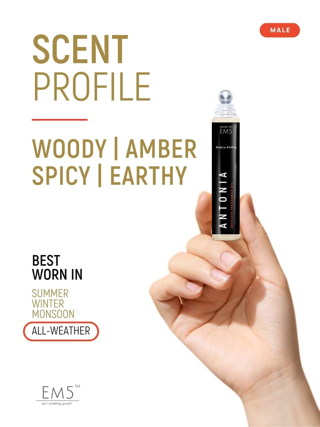 EM5 Antonia Perfume Roll-On for Men | Woody Earthy Spicy Accords | Travel Friendly Attar Roll On for Him | Strong & Long Lasting Fragrance | 10 ml - Image 2 thumbnail