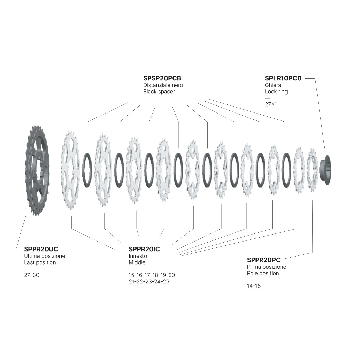 Amazon.com : Miche Primato Light K12 12 Speed Cassette, Campagnolo