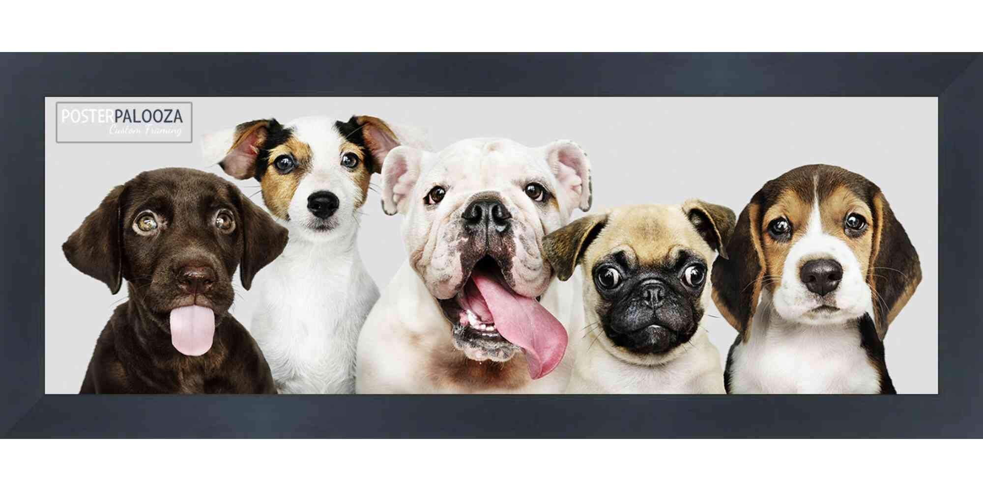 Poster Palooza 6x18 Contemporary Black Wood Picture Frame - UV Acrylic, Foam Board Backing, & Hanging Hardware Included!