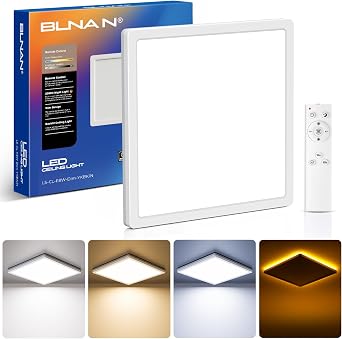 BLNAN LED Ceiling Light Dimmable, 18W 1800LM Light Fittings Ceilings with Remote Control, 4W Warm Night Light, 3000K-6500K Ceiling Lights for Bedroom Kitchen Balcony Basement Office, Square White 22CM [Energy Class F]