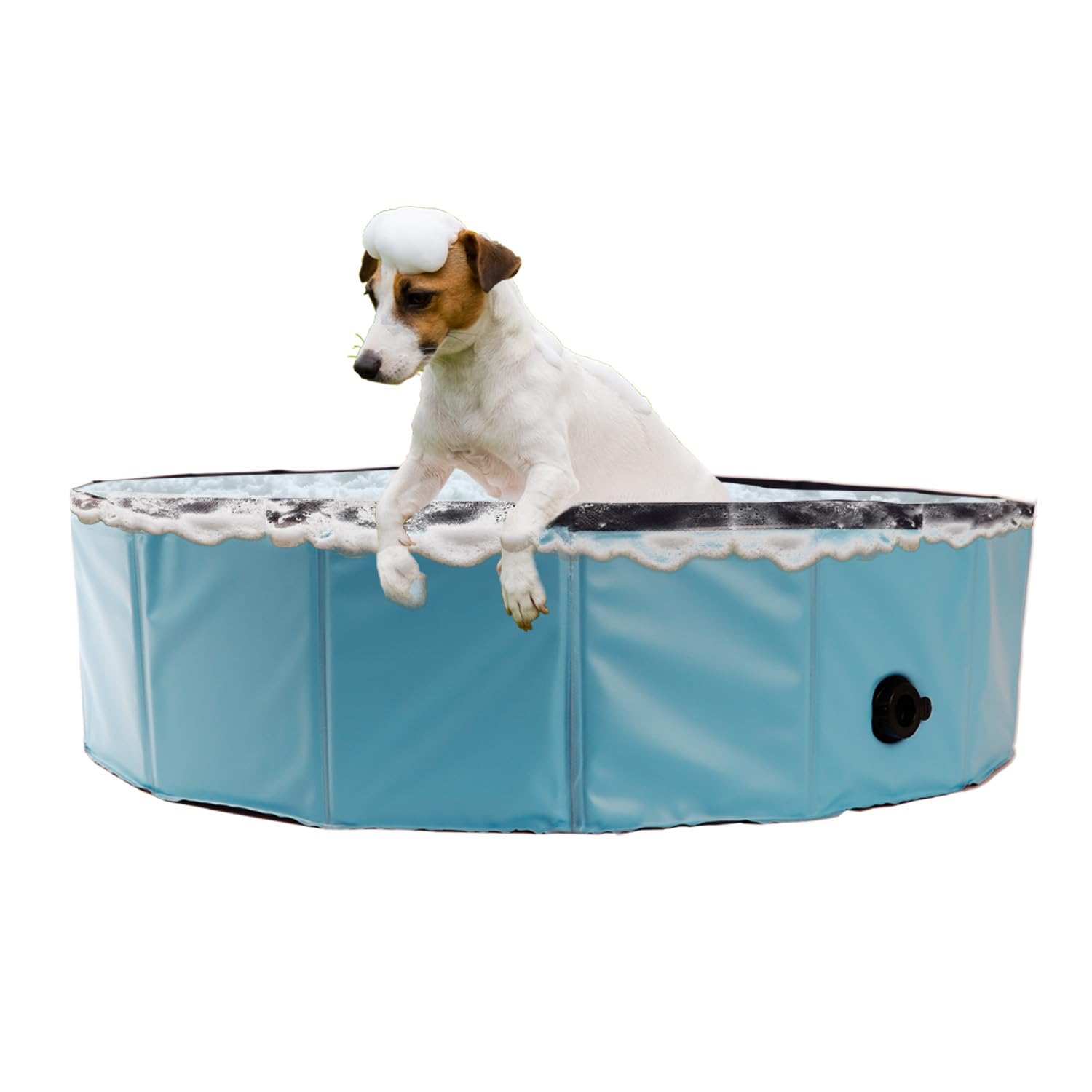 Foldable Pet Bathtub for Small Dogs & Kids - 31.5 x 7.87 Inch Hard Plastic Collapsible Kiddie Pool - Indoor/Outdoor Versatile Tub for Bathing