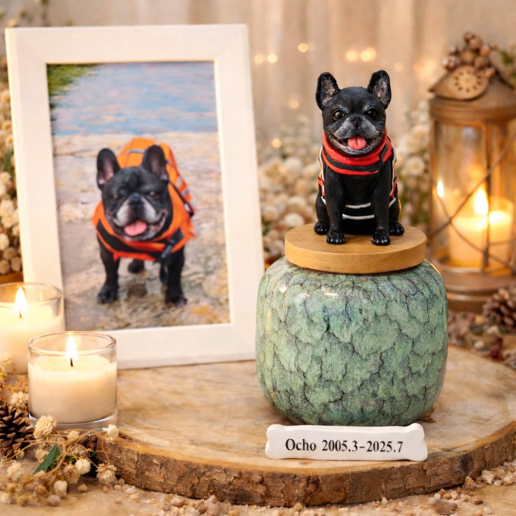 Novela Statuetta 3D Bobblehead personalizzata con urna cremazione in ceramica, scultura fatta a mano di cane/gatto da foto, nome e date personalizzati