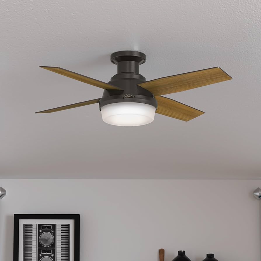にく28cm Hunter 44 inch Indoor Ceiling Fan with LED Light and Remote