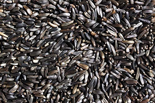 KOO Retails Premium Niger Seeds - Bird Food 450gm