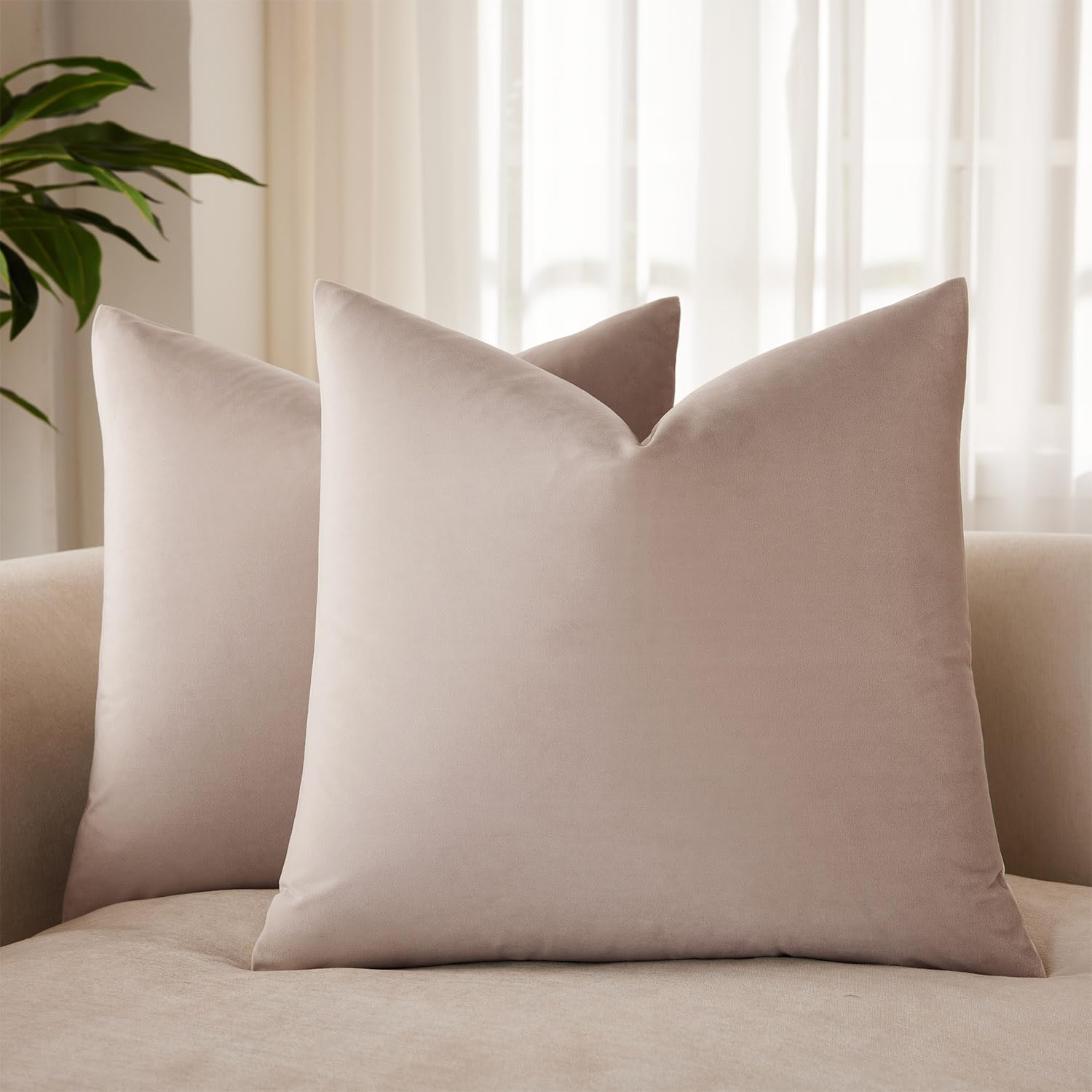 JUSPURBET 22x22 Decorative Velvet Throw Pillow Covers Set of 2,Champagne