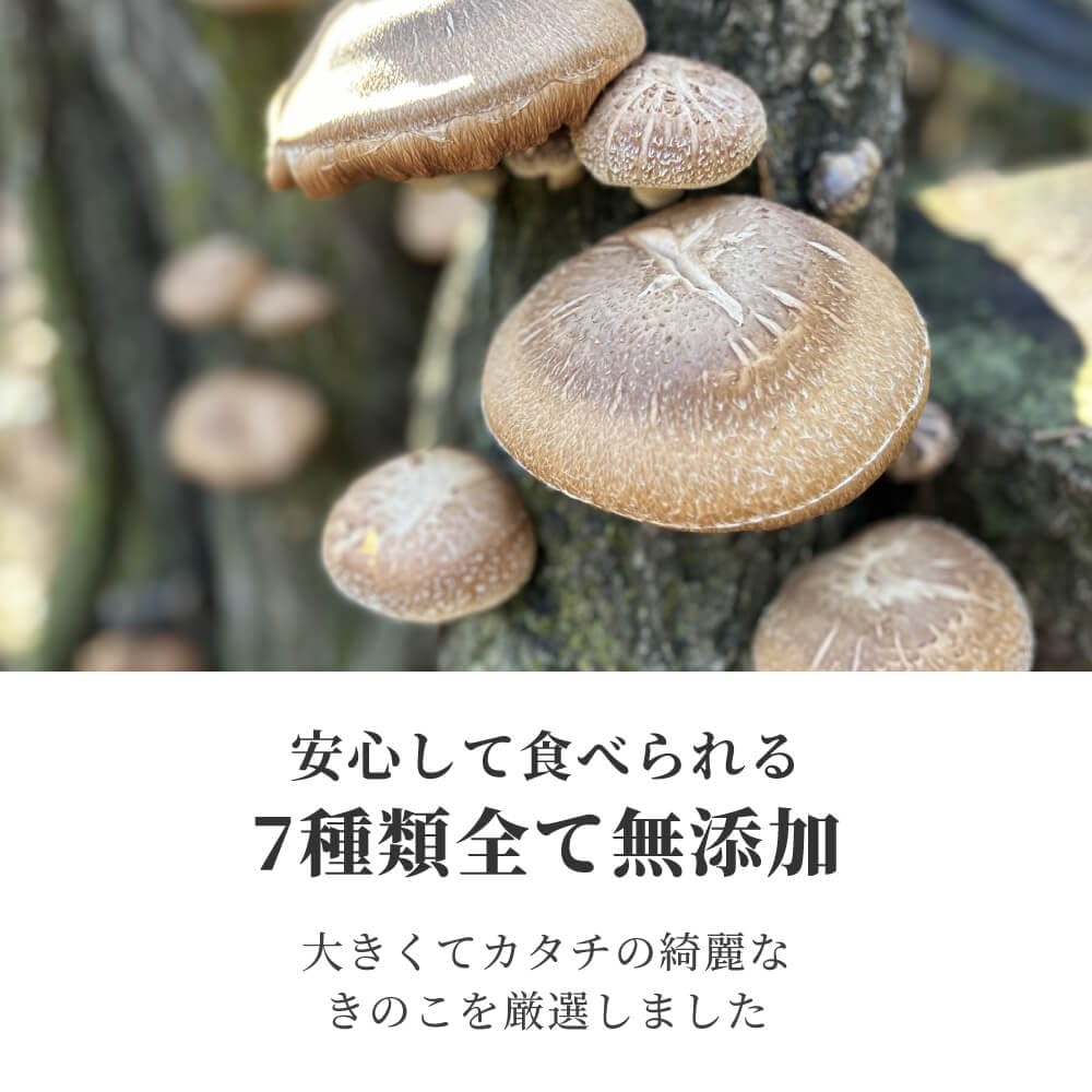 Amazon.co.jp: 【訳アリ】割れ欠けきのこミックス 20g 7種類