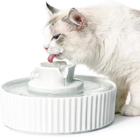 Amazon Co Jp V Dank 猫 給水器 自動 セラミック 猫 水飲み器 ペット 自動給水器 犬 水飲み器 セラミックス 循環式給水器 2l 大容量 活性炭フィルター ペット 水入れ ウォーターボトル 犬 猫 浄水器 滝タイプ ファウンテン 犬用給水器 小動物用 日本語説明書 メーカー Amazon Co Jp V Dank 猫 給水器 自動 セラミック 猫 水飲み器 ペット 自動給水器 犬 水飲み器 セラミックス 循環式給水器 2l 大容量 活性炭フィルター ペット 水入れ ウォーターボトル 犬 猫 浄水器 滝タイプ ファウンテン 犬用給水器 小動物用 日本語説明書 メーカー