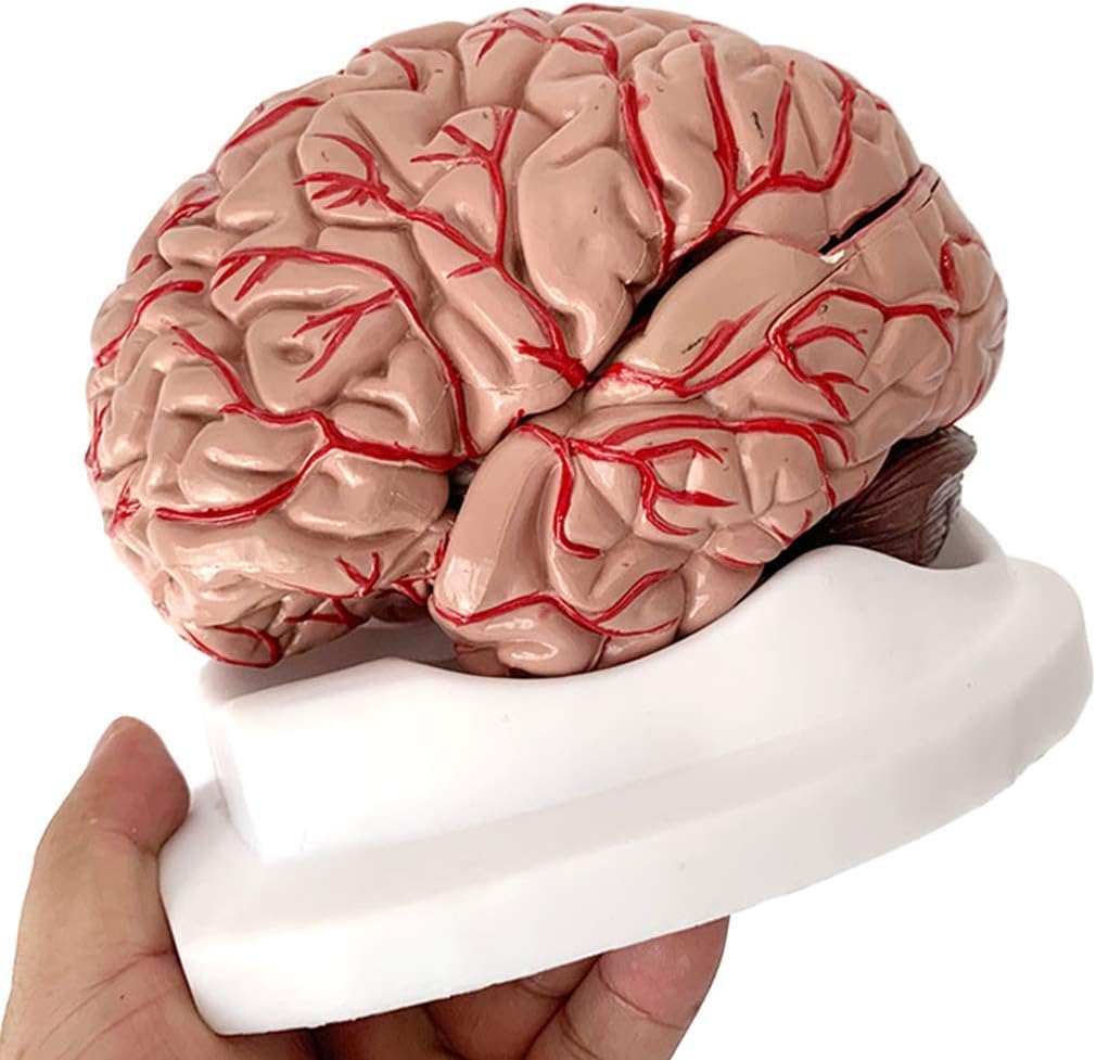 非売品】カードキャプターさくら 樋上いたる 西又葵 B2 ポスター 9枚セット