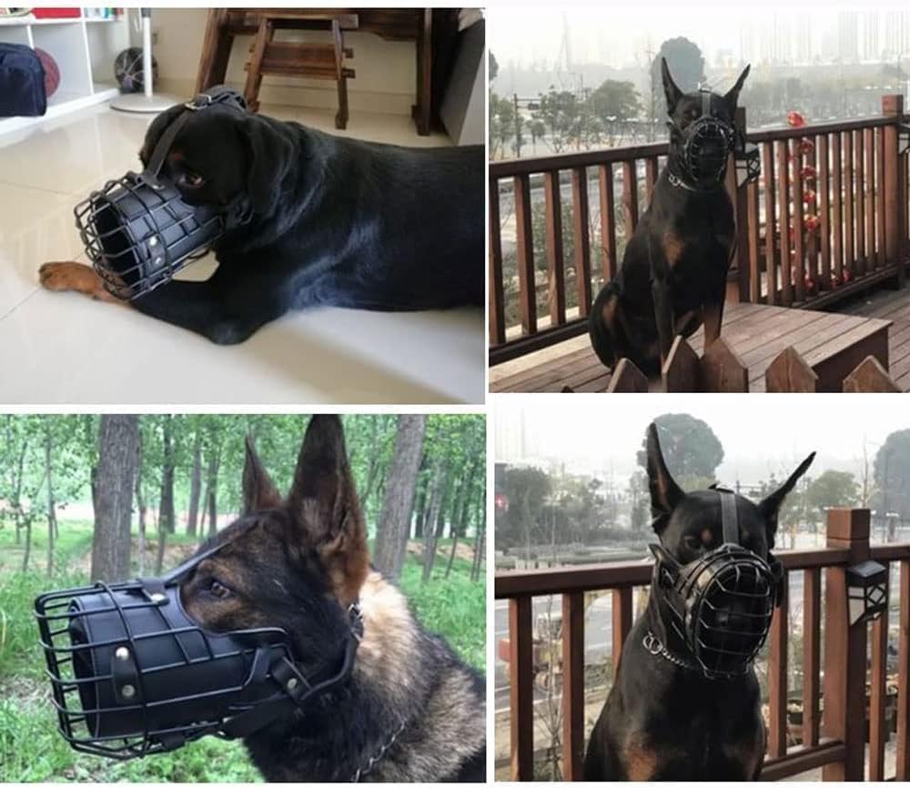Bozal ajustable de metal y cuero para perros de razas medianas y grandes, ideal para entrenar pastores alemanes, dobermans, rottweilers y más